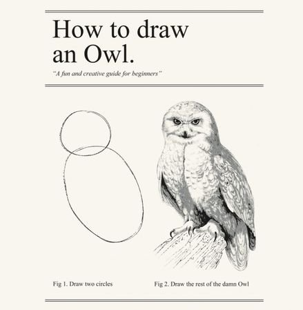 owl
